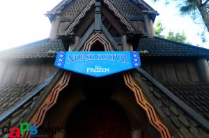 EPCOT stave church frozen