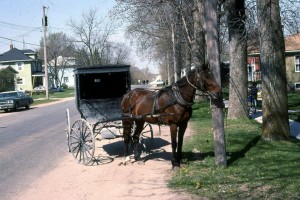 Horse and Buggy in Hazleton, Iowa