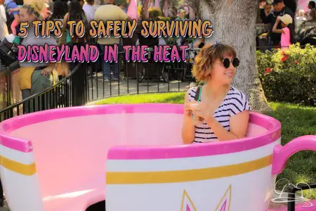 5 Tips for Safely Surviving Disneyland in the Heat