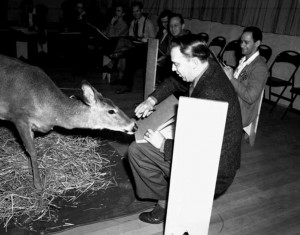 Bambi behind the scenes