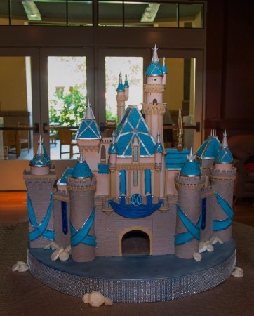 Disneyland Castle Cake (1)