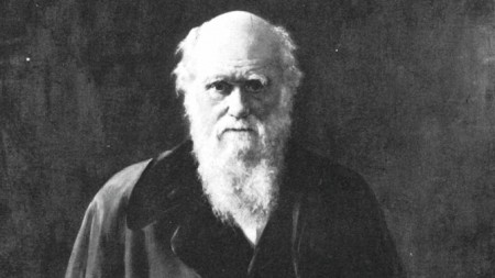 Charles Darwin Portrait