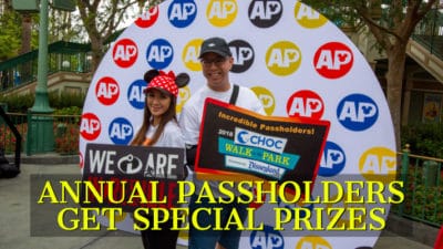 Disney Annual Passholders Get Exclusive Star Wars Prizes While Fundraising for CHOC Walk 2019