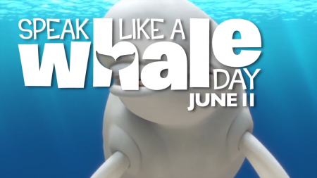 Speak like a whale day